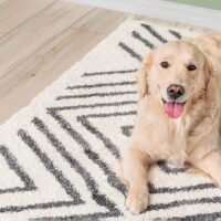 Floor rug by Team Florida with a cute dog
